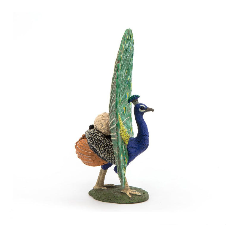 PAPO Farmyard Friends Peacock Toy Figure, 3 Years or Above, Multi-colour