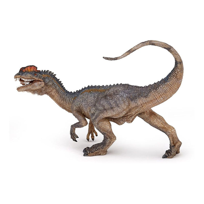PAPO Dinosaurs Dilophosaurus Toy Figure, 3 Years or Above, Multi-colour