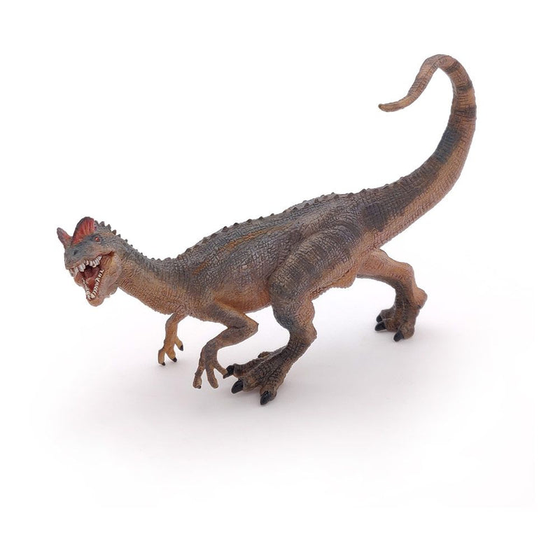PAPO Dinosaurs Dilophosaurus Toy Figure, 3 Years or Above, Multi-colour