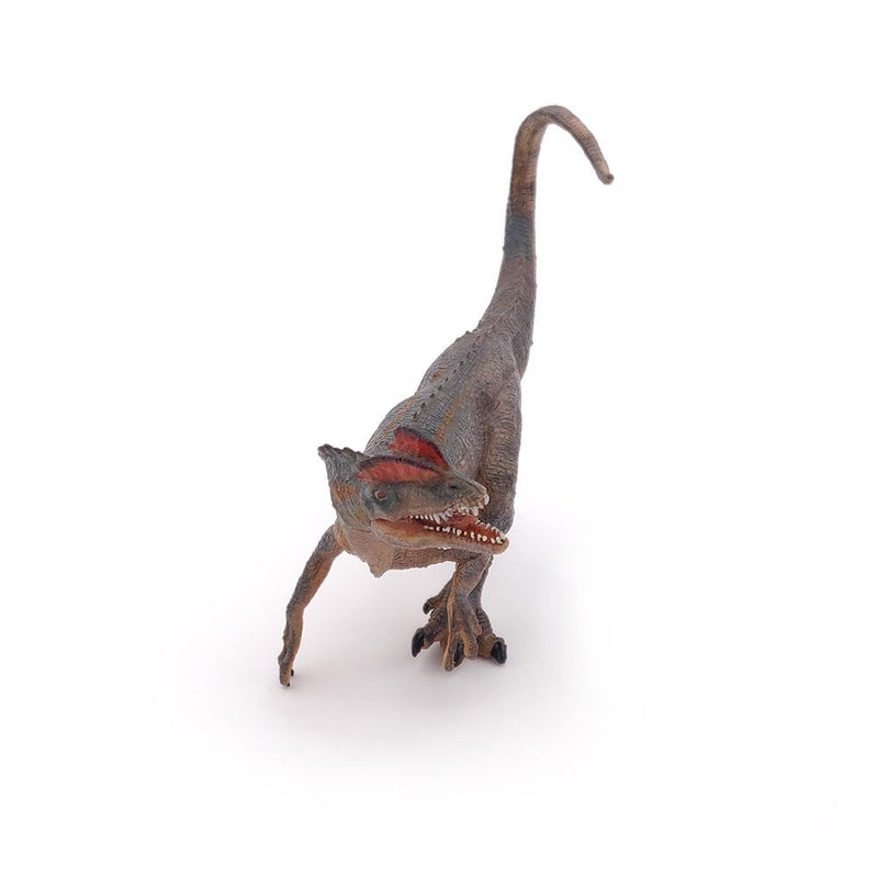 PAPO Dinosaurs Dilophosaurus Toy Figure, 3 Years or Above, Multi-colour