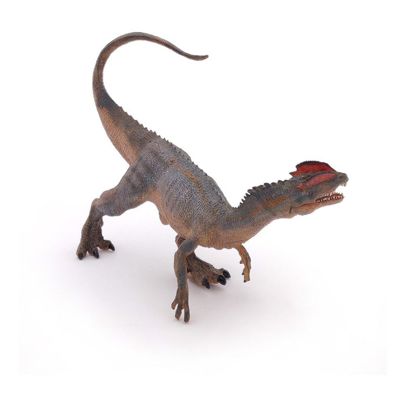 PAPO Dinosaurs Dilophosaurus Toy Figure, 3 Years or Above, Multi-colour