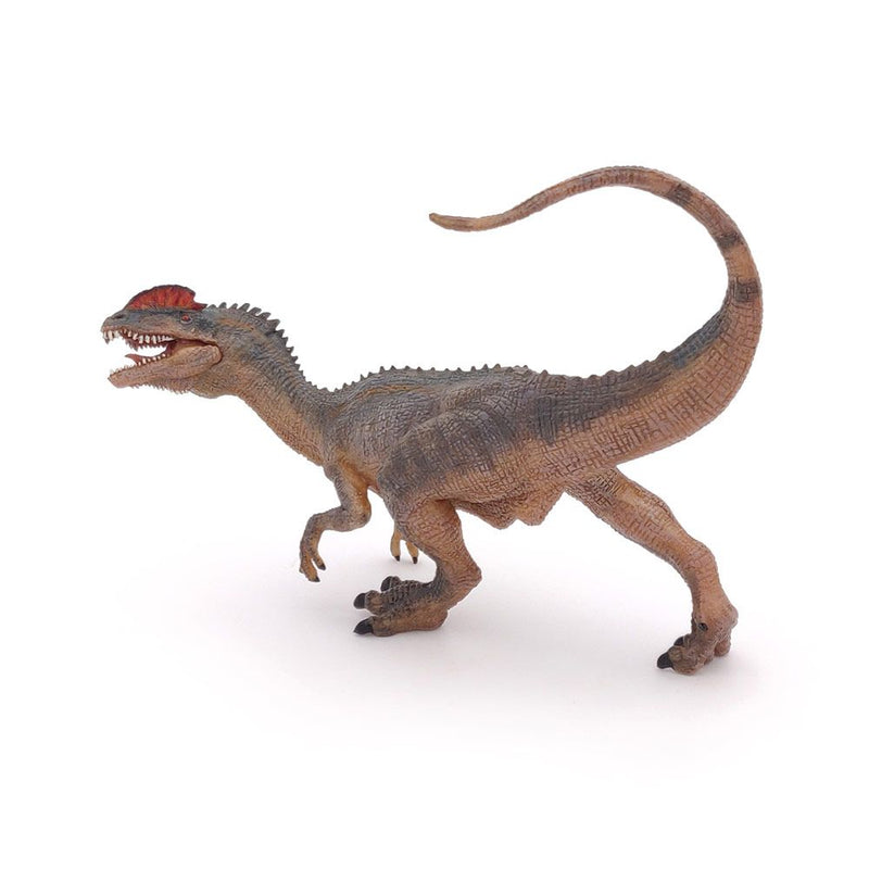 PAPO Dinosaurs Dilophosaurus Toy Figure, 3 Years or Above, Multi-colour