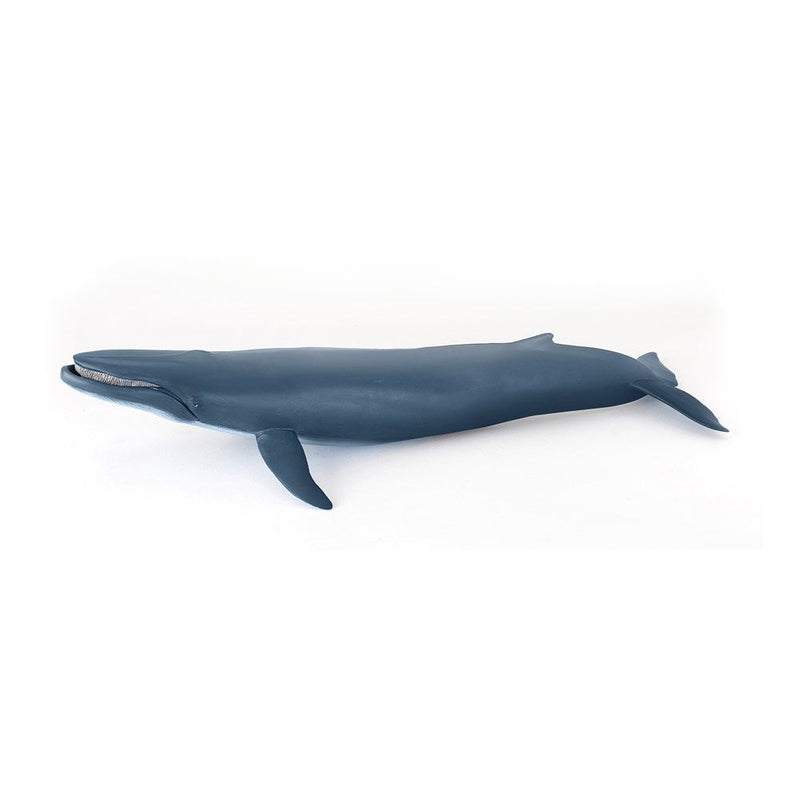 PAPO Marine Life Blue Whale Toy Figure, 3 Years or Above, Blue
