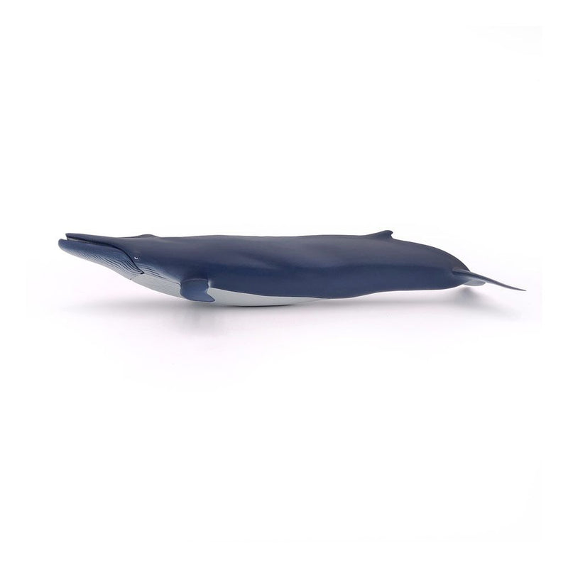 PAPO Marine Life Blue Whale Toy Figure, 3 Years or Above, Blue