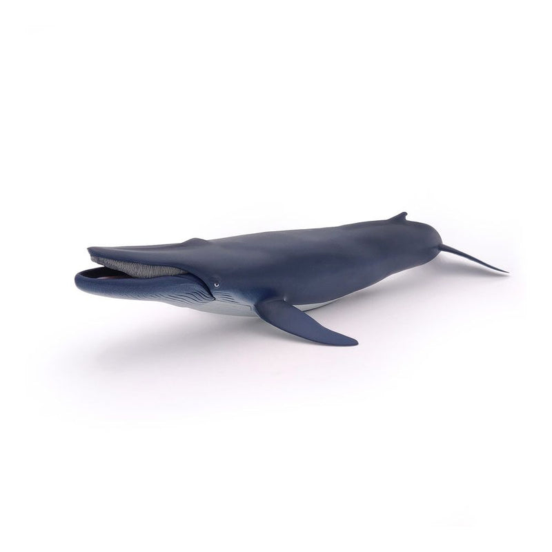 PAPO Marine Life Blue Whale Toy Figure, 3 Years or Above, Blue