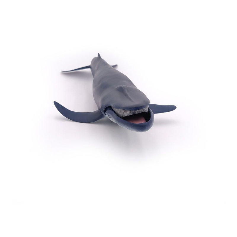 PAPO Marine Life Blue Whale Toy Figure, 3 Years or Above, Blue