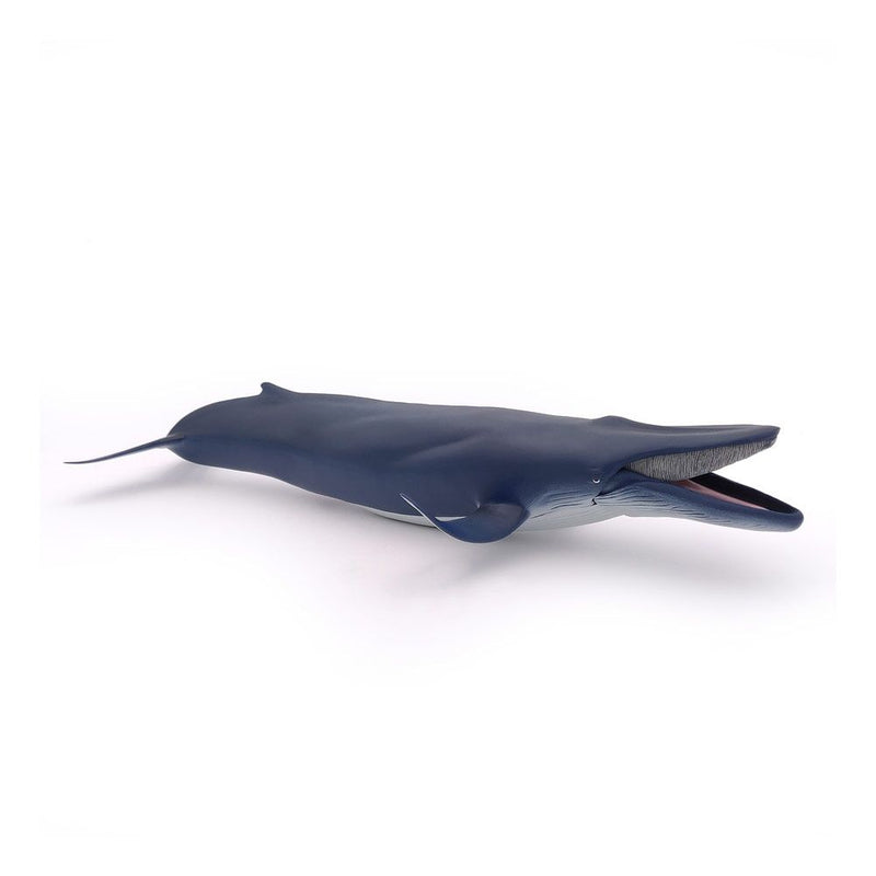 PAPO Marine Life Blue Whale Toy Figure, 3 Years or Above, Blue