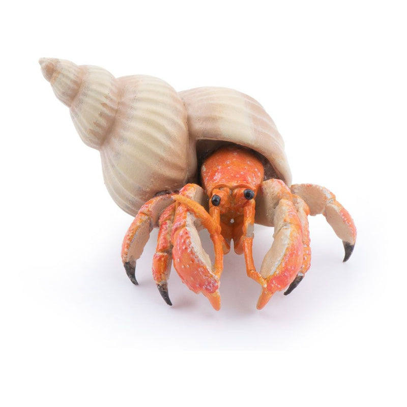 PAPO Marine Life Hermit Crab Toy Figure, 3 Years or Above, Orange