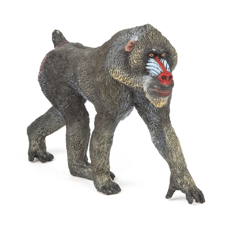 PAPO Wild Animal Kingdom Mandrill Toy Figure, 3 Years or Above, Multi-colour