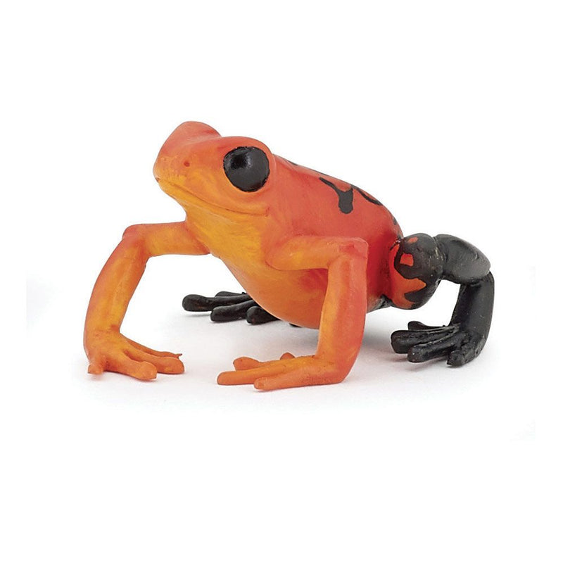 PAPO Wild Animal Kingdom Red Equatorial Frog Toy Figure, 3 Years or Above, Orange/Black