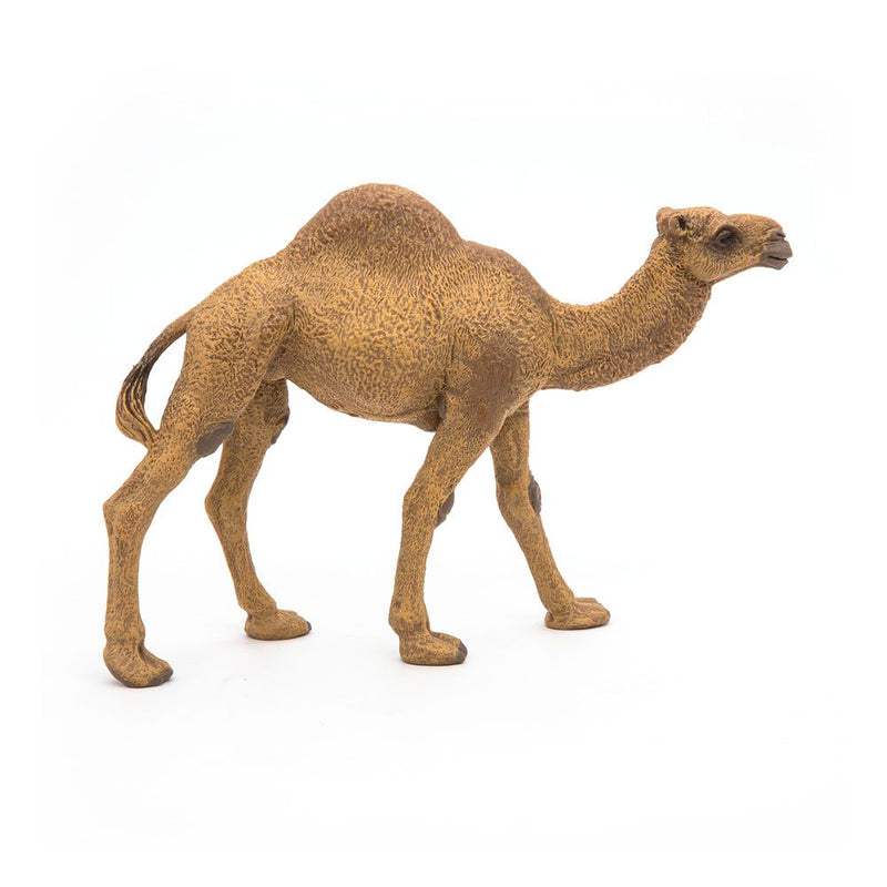 PAPO Wild Animal Kingdom Dromedary Toy Figure, 3 Years or Above, Brown