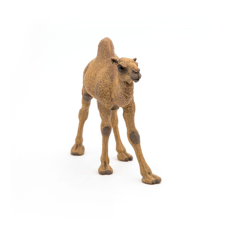 PAPO Wild Animal Kingdom Dromedary Toy Figure, 3 Years or Above, Brown