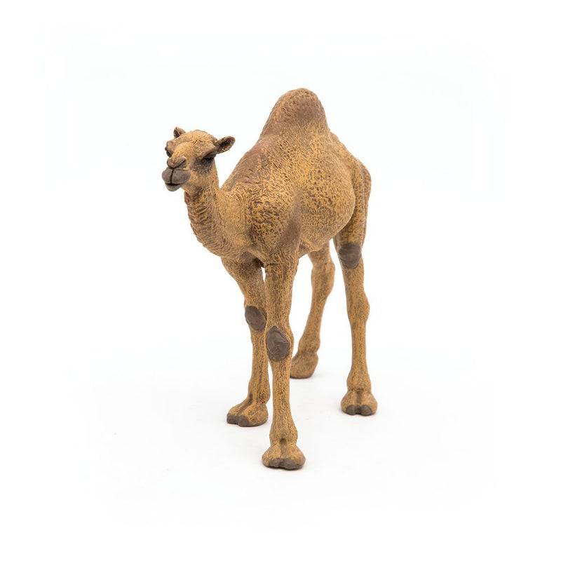 PAPO Wild Animal Kingdom Dromedary Toy Figure, 3 Years or Above, Brown