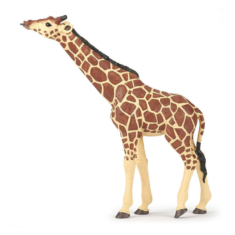 PAPO Wild Animal Kingdom Giraffe Head Up Toy Figure, 3 Years or Above, Brown