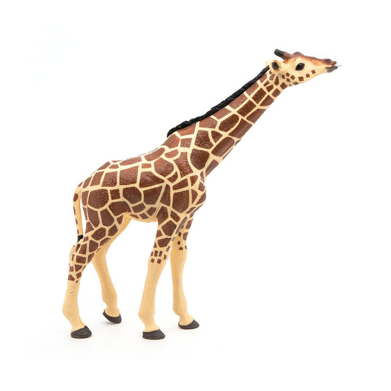 PAPO Wild Animal Kingdom Giraffe Head Up Toy Figure, 3 Years or Above, Brown