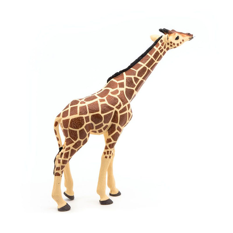PAPO Wild Animal Kingdom Giraffe Head Up Toy Figure, 3 Years or Above, Brown