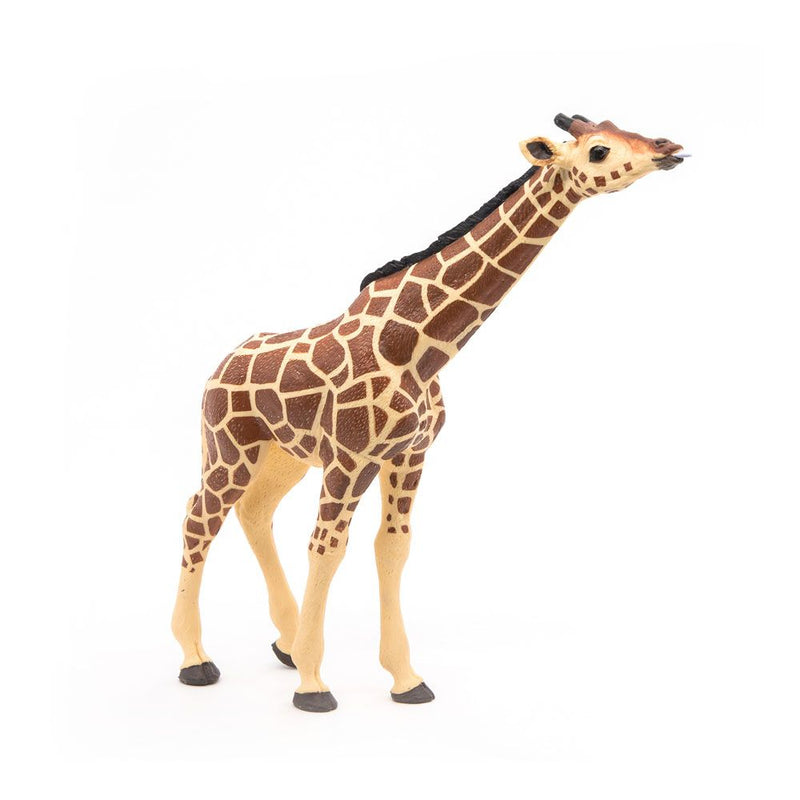 PAPO Wild Animal Kingdom Giraffe Head Up Toy Figure, 3 Years or Above, Brown