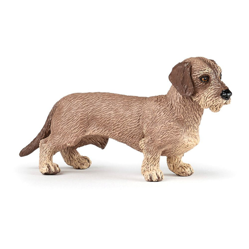 PAPO Dog and Cat Companions Dachshund Toy Figure, 3 Years or Above, Brown