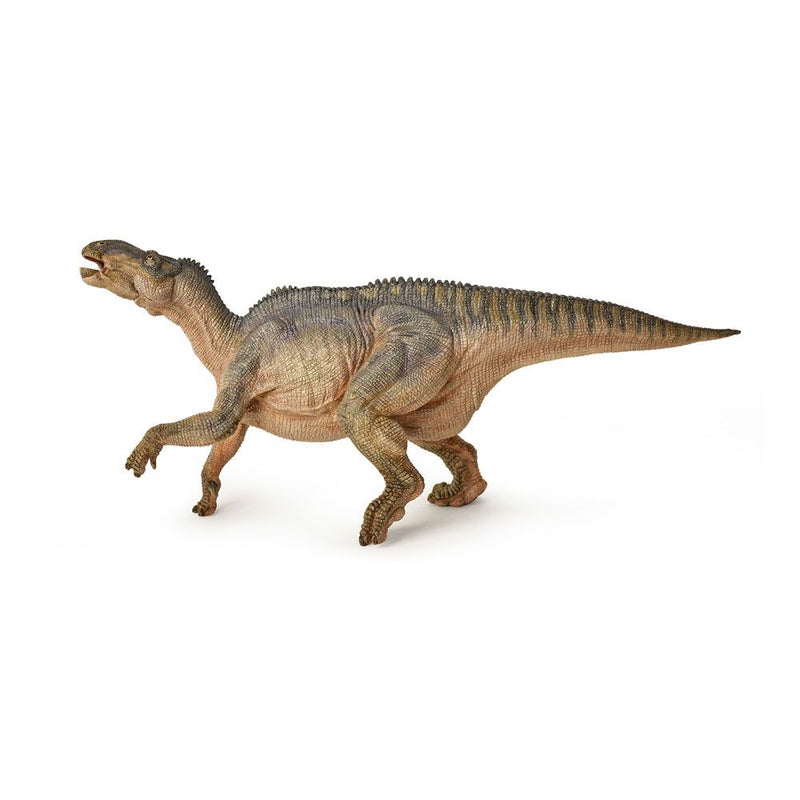 PAPO Dinosaurs Iguanodon Toy Figure, 3 Years or Above, Multi-colour