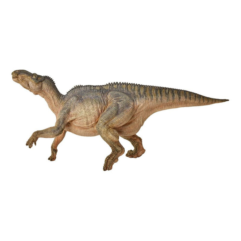 PAPO Dinosaurs Iguanodon Toy Figure, 3 Years or Above, Multi-colour