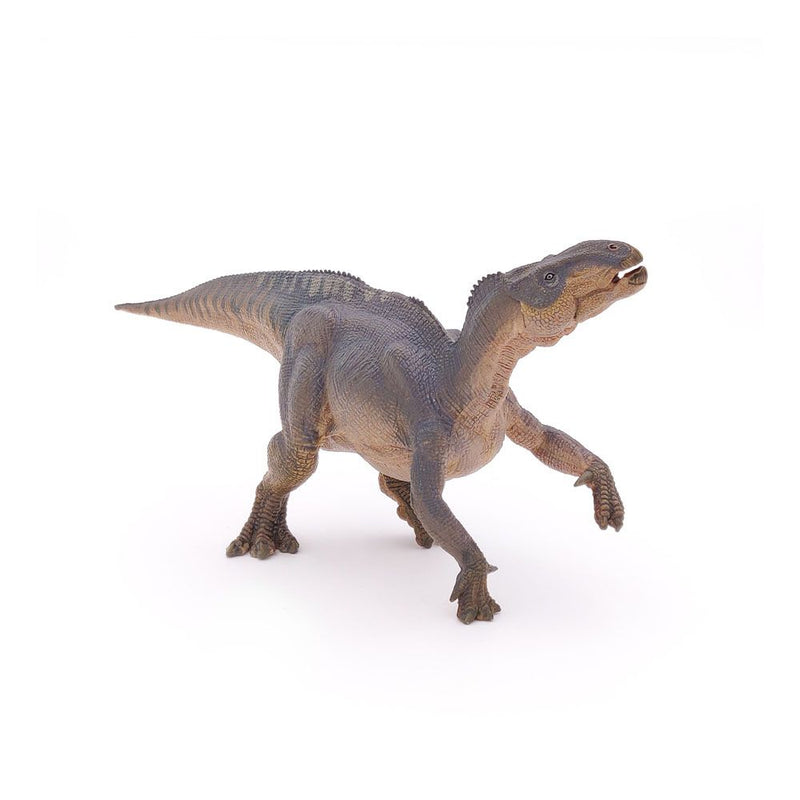 PAPO Dinosaurs Iguanodon Toy Figure, 3 Years or Above, Multi-colour