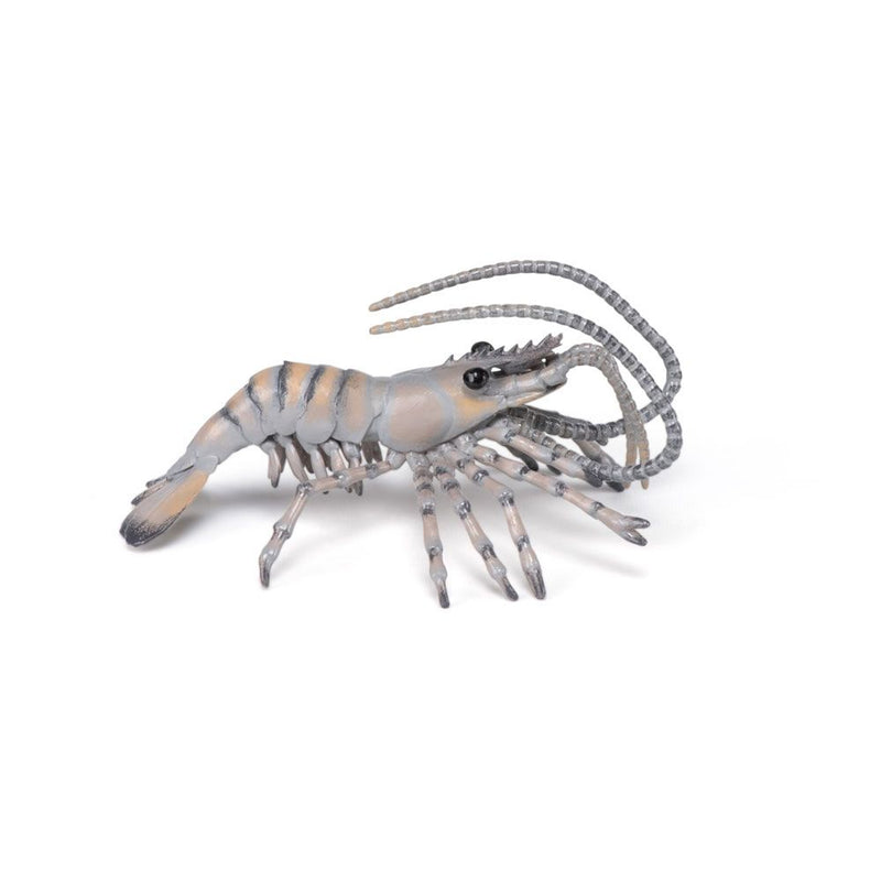 PAPO Marine Life Shrimp Toy Figure, 3 Years or Above, Multi-colour