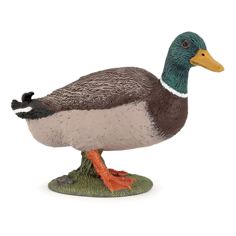 PAPO Farmyard Friends Mallard Duck Toy Figure, 3 Years or Above, Brown