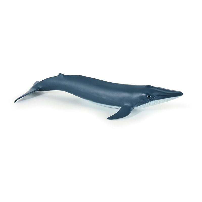 PAPO Marine Life Blue Whale Calf Toy Figure, 3 Years or Above, Blue