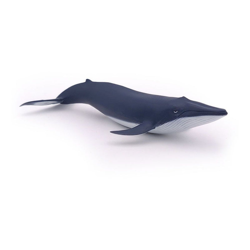 PAPO Marine Life Blue Whale Calf Toy Figure, 3 Years or Above, Blue