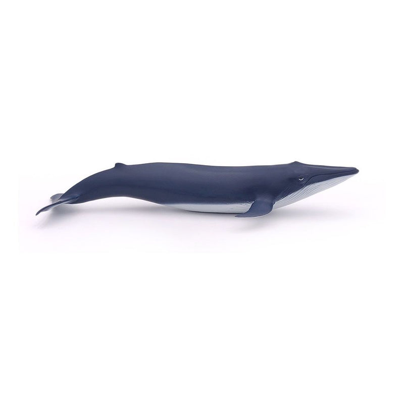 PAPO Marine Life Blue Whale Calf Toy Figure, 3 Years or Above, Blue