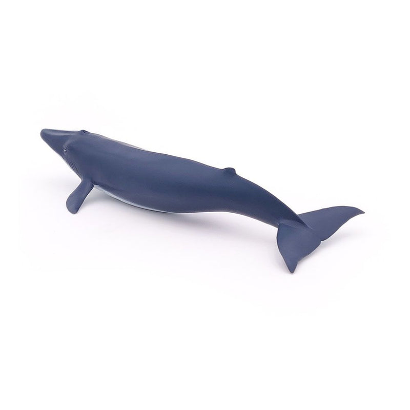 PAPO Marine Life Blue Whale Calf Toy Figure, 3 Years or Above, Blue