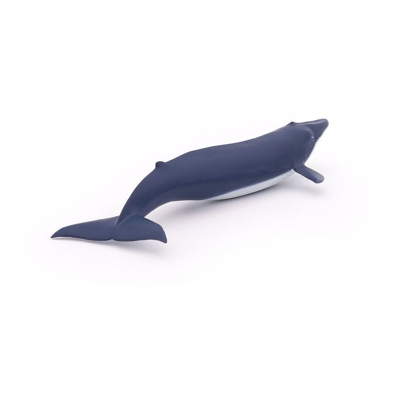 PAPO Marine Life Blue Whale Calf Toy Figure, 3 Years or Above, Blue