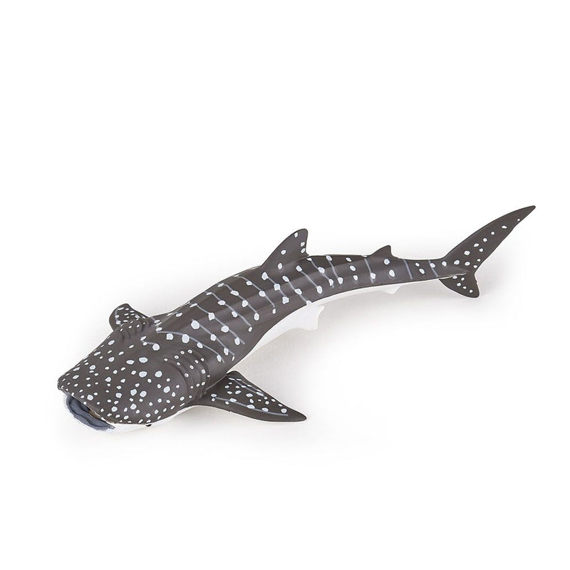 PAPO Marine Life Young Whale Shark Toy Figure, 3 Years or Above, Grey