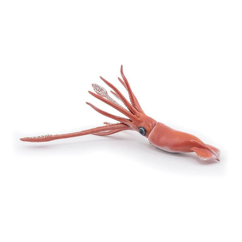 PAPO Marine Life Giant Squid Toy Figure, 3 Years or Above, Multi-colour