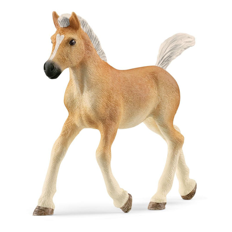 SCHLEICH Horse Club Haflinger Foal Toy Figure, 5 to 12 Years, Tan