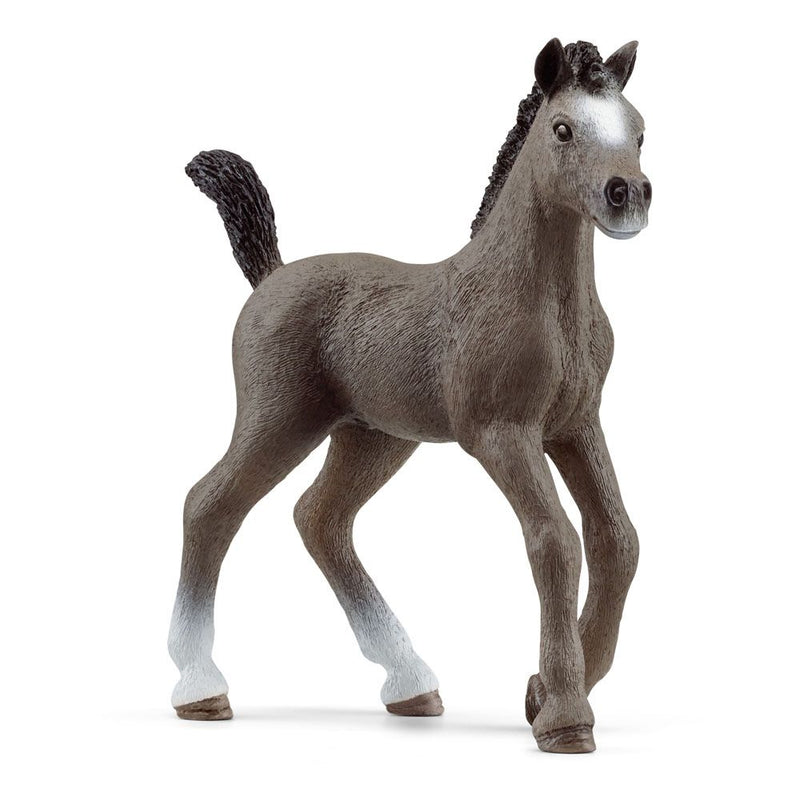 SCHLEICH Horse Club Selle Francais Foal Toy Figure, 5 to 12 Years, Grey