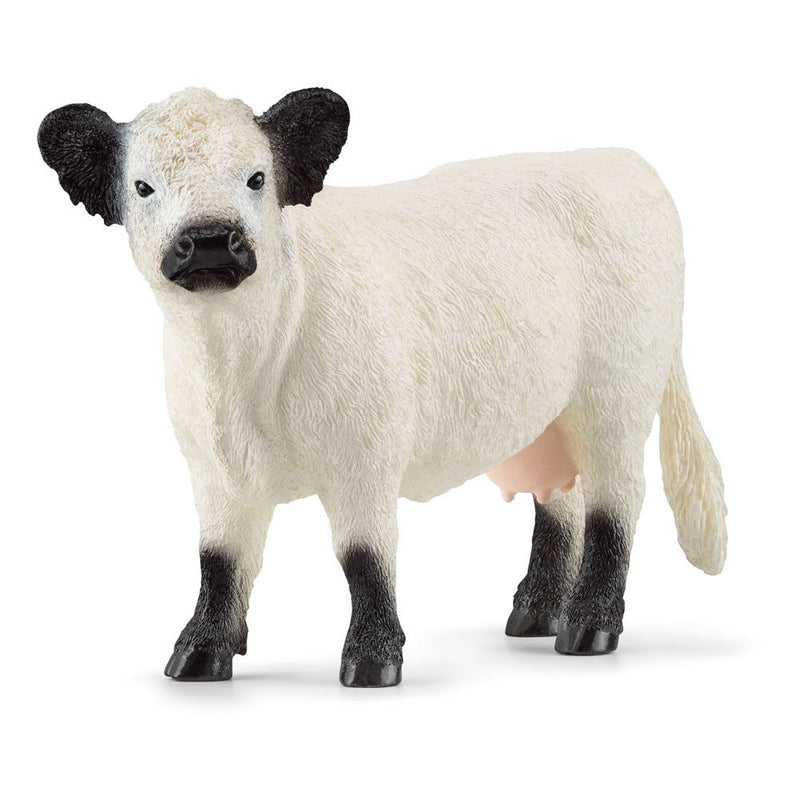SCHLEICH Farm World Galloway Cow Toy Figure, 3 to 8 Years, White/Black