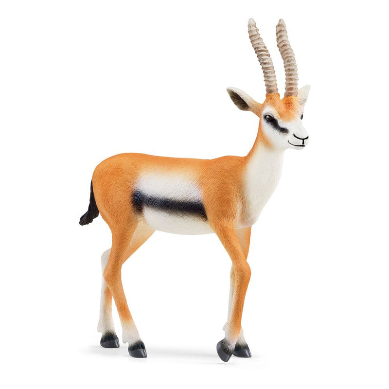 SCHLEICH Wild Life Thomson Gazelle Toy Figure, 3 to 8 Years, Multi-colour