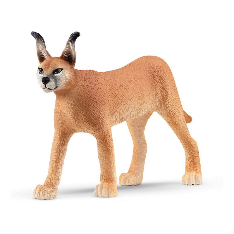 SCHLEICH Wild Life Caracal Female Toy Figure, 3 to 8 Years, Tan