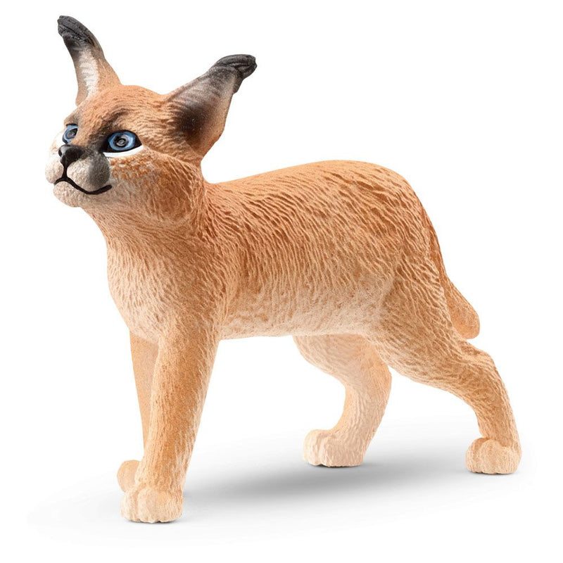 SCHLEICH Wild Life Caracal Baby Toy Figure, 3 to 8 Years, Tan