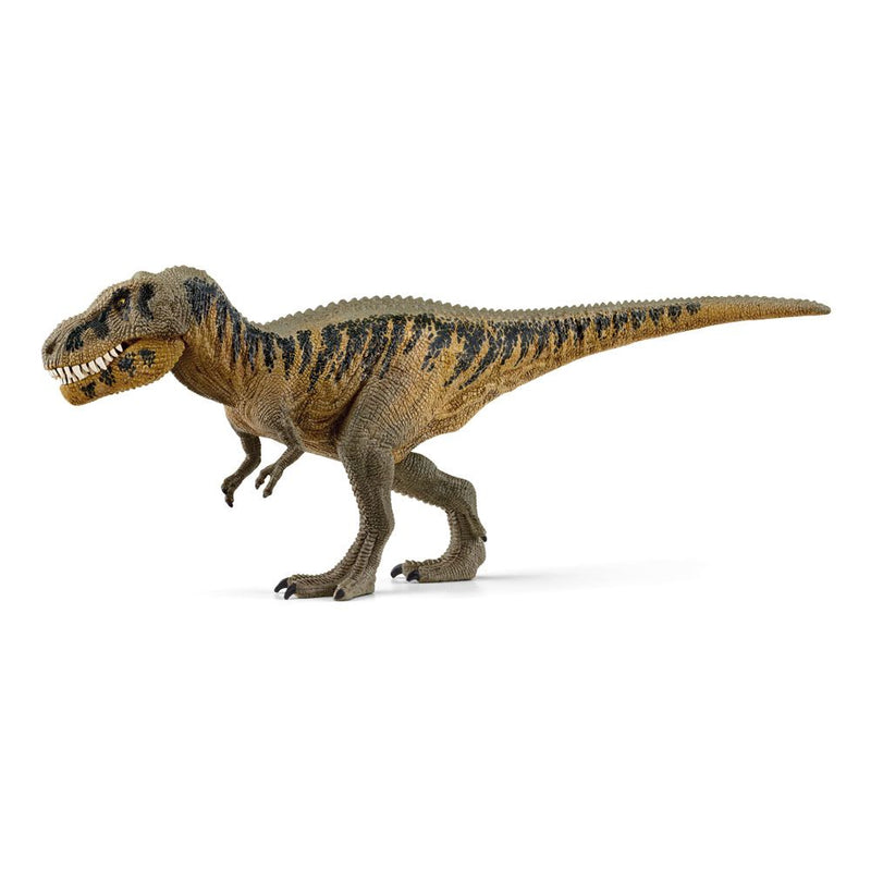SCHLEICH Dinosaurs Tarbosaurus Toy Figure, 4 to 12 Years, Brown
