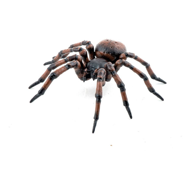 PAPO Wild Life in the Garden Common Spider Toy Figure, Three Years and Above, Brown/Orange