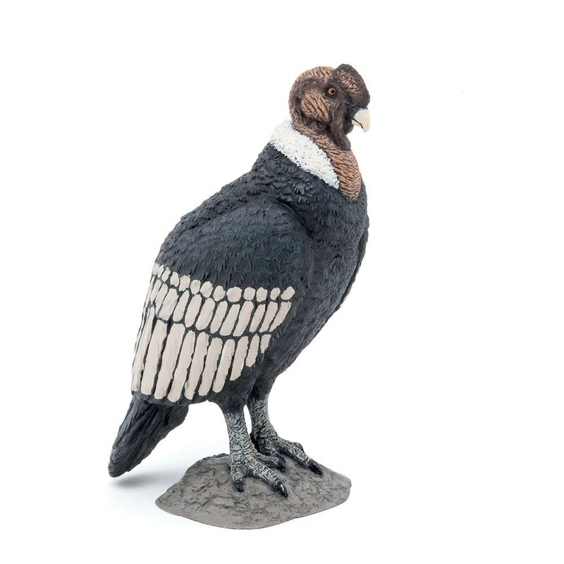PAPO Wild Animal Kingdom Condor Toy Figure, Three Years and Above, Black