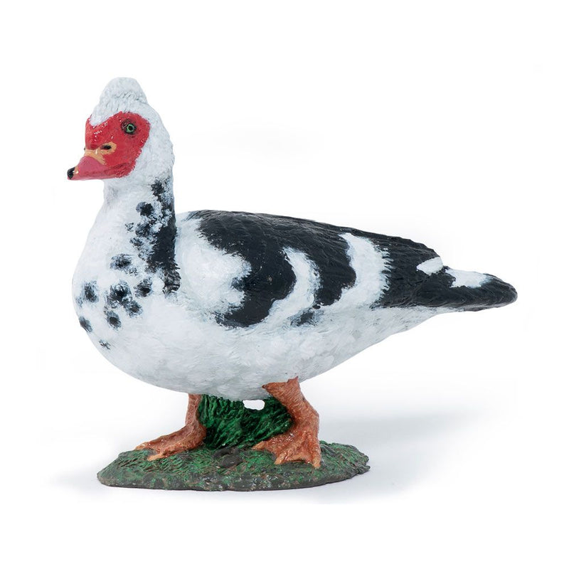 PAPO Farmyard Friends Domestic Muscovy Duck Toy Figure, Ten Months and Above, White/Black