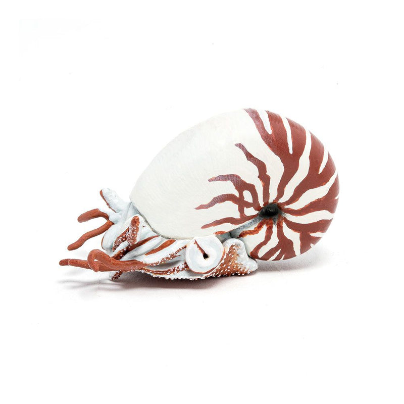 PAPO Marine Life Nautilus Toy Figure, Three Years and Above, White/Red
