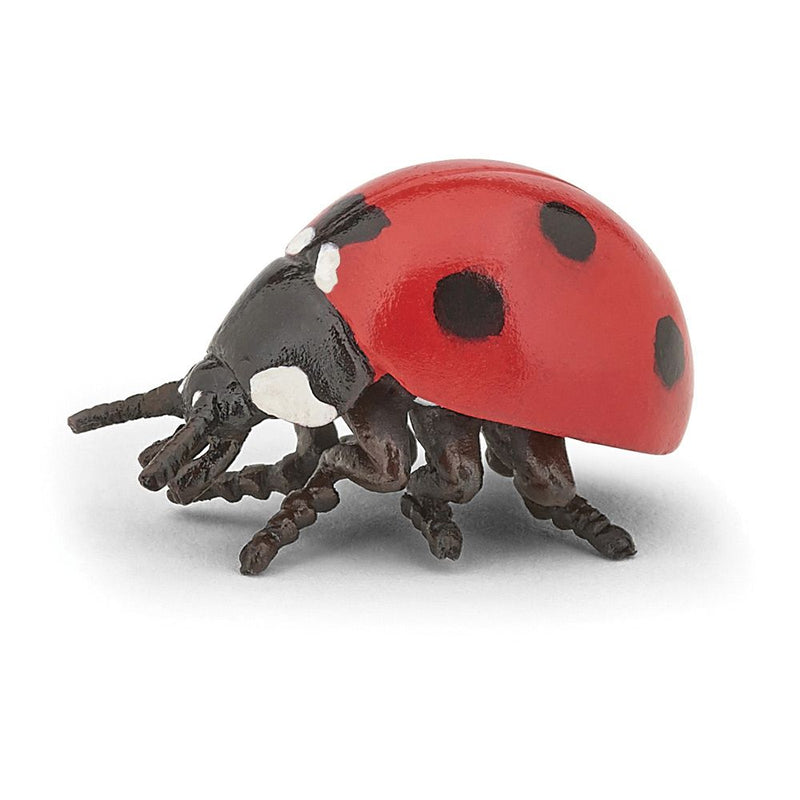 PAPO Wild Life in the Garden Ladybird Toy Figure, 3 Years or Above, Red/Black