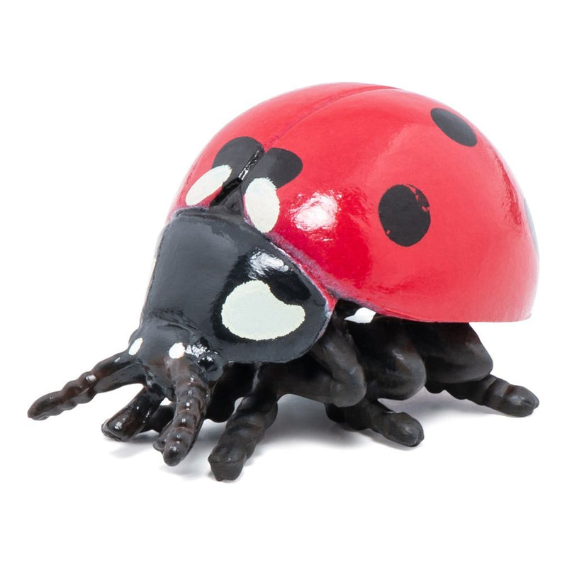 PAPO Wild Life in the Garden Ladybird Toy Figure, 3 Years or Above, Red/Black