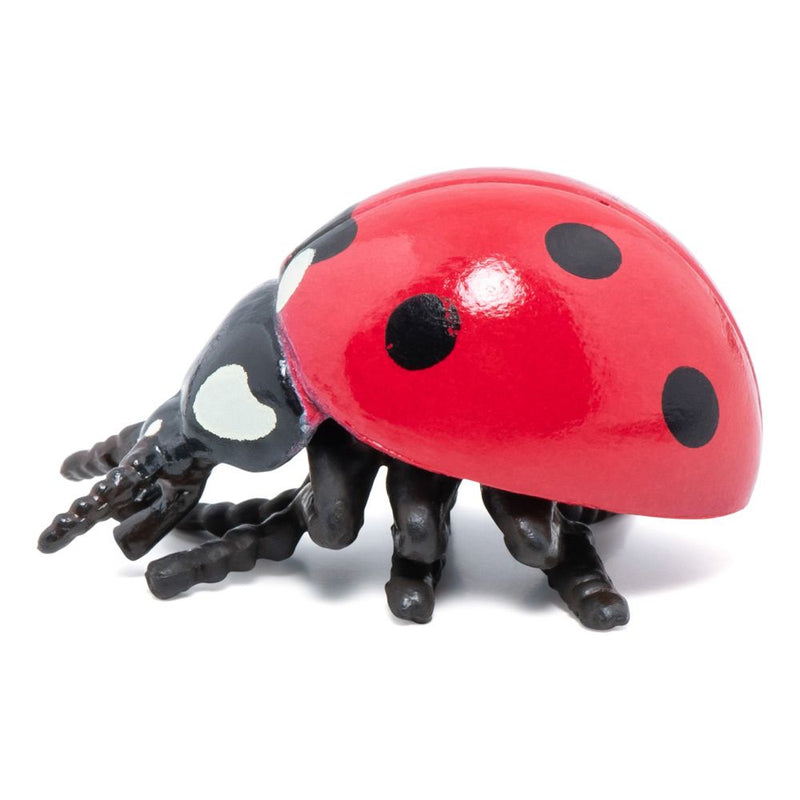 PAPO Wild Life in the Garden Ladybird Toy Figure, 3 Years or Above, Red/Black