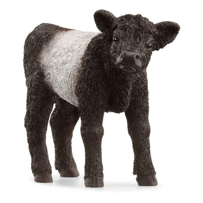 SCHLEICH Farm World Galloway Calf Toy Figure, 3 to 8 Years, Black/White