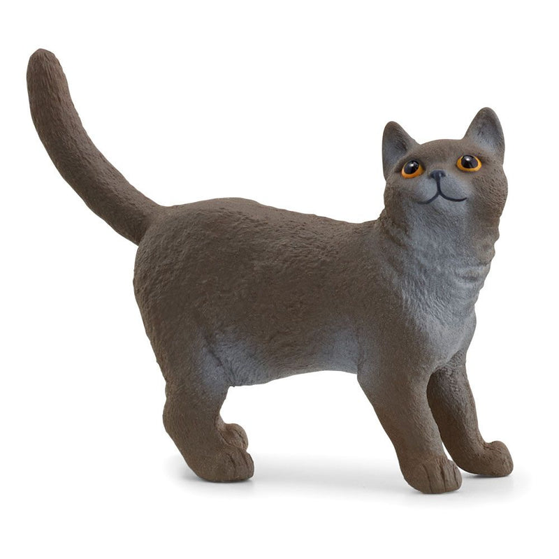SCHLEICH Farm World British Shorthair Cat Toy Figure, 3 to 8 Years, Black